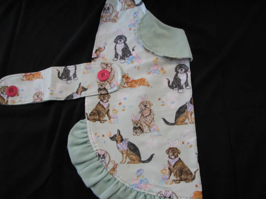 Small Easter Dog — new coat view