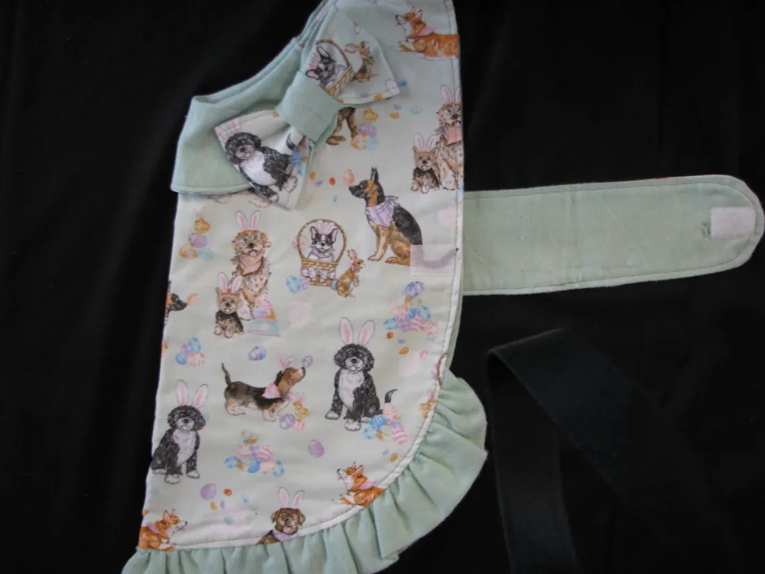 Small Easter Dog — new coat view