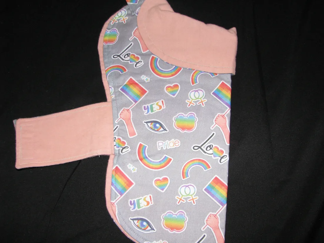 Artful Gay Pride — new coat view