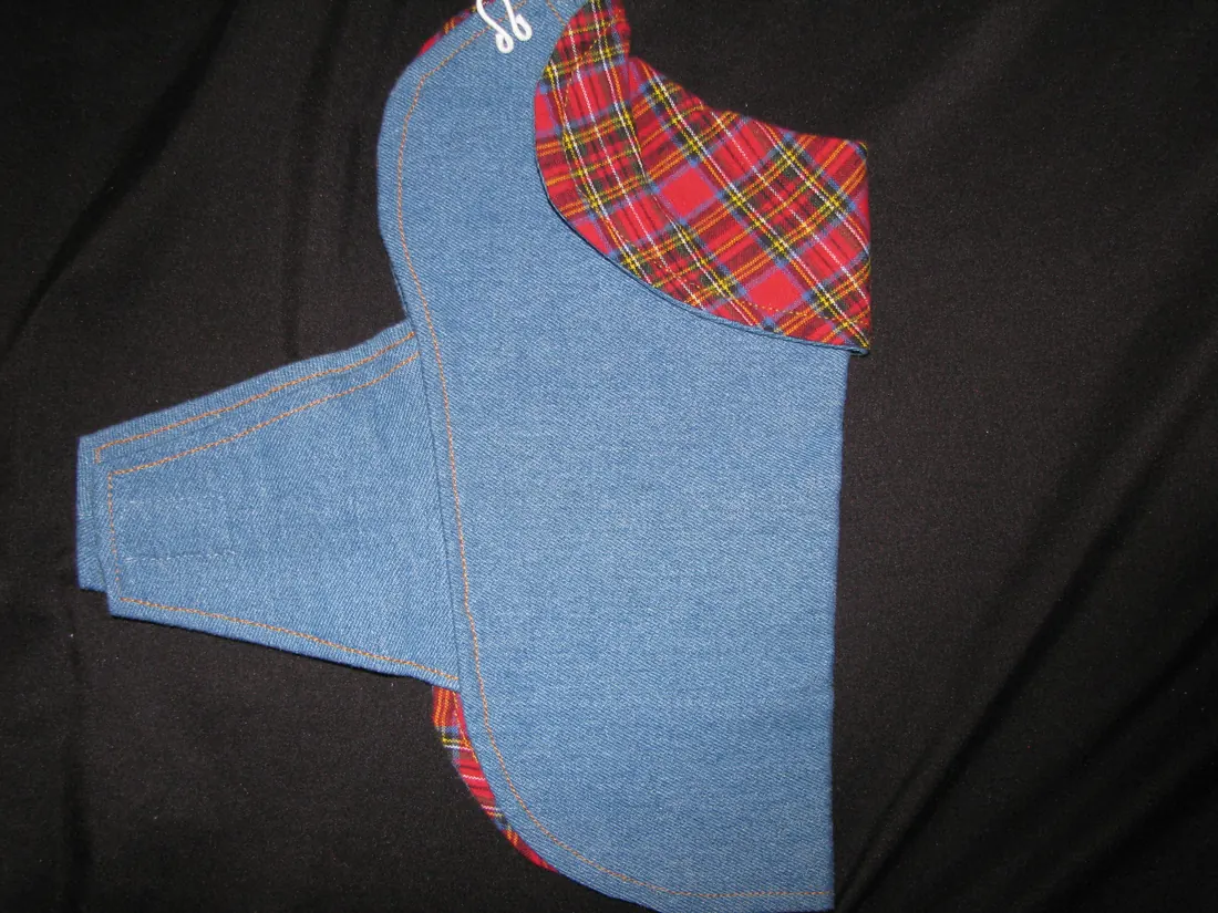 Jean and Plaid — new coat view