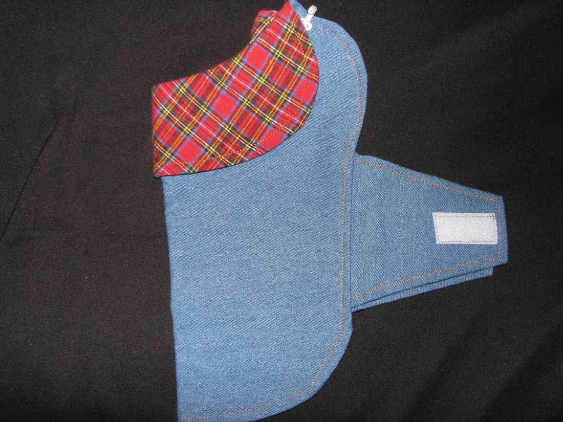 Jean and Plaid — new coat view