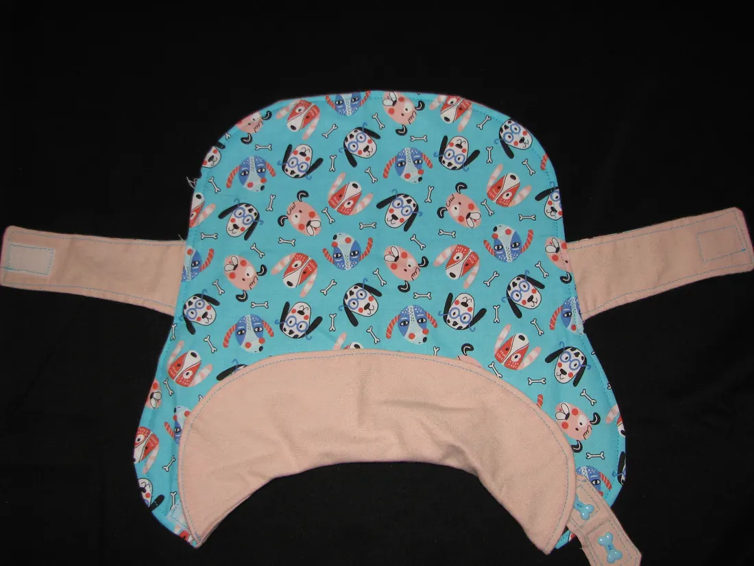 Blue Smarty Dogs — new coat view
